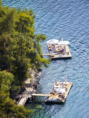 Источник: Архивы пресс-служб