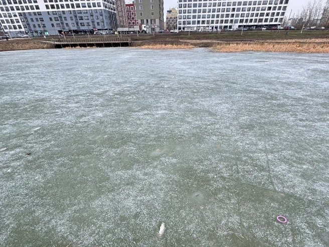 В этом сезоне продолжится зарыбление | Источник: Группа «ЧС Тюмень» / ВКонтакте