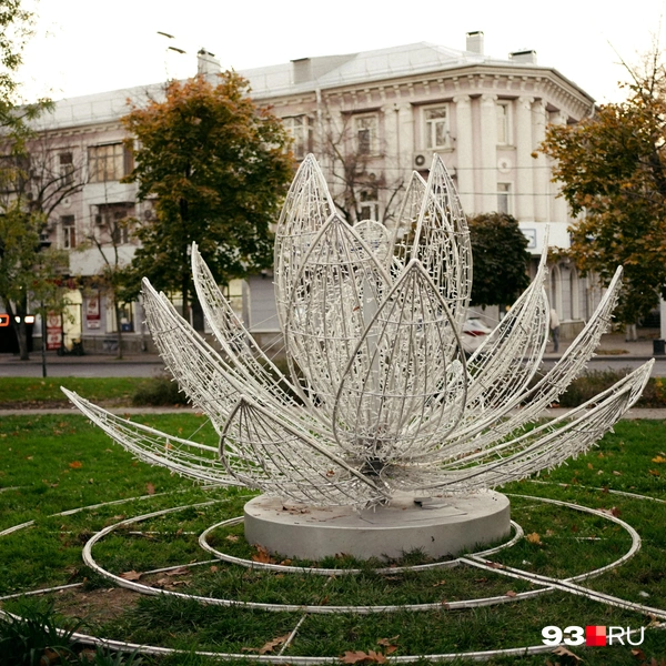 Источник: Дарья Паращенко / 93.RU