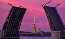 Дворцовый мост в Петербурге сегодня станет фиолетовым
