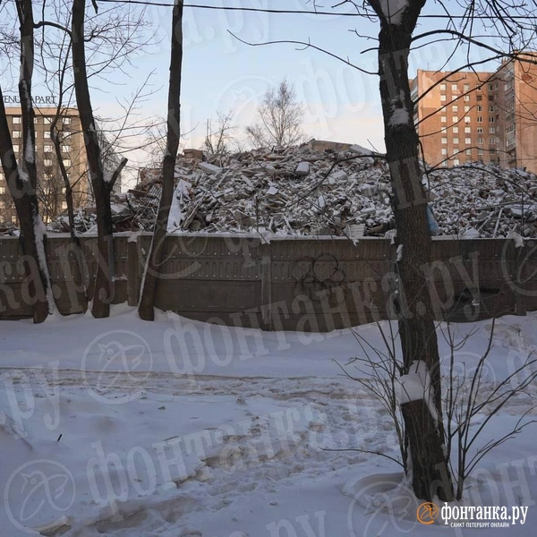 Источник: Павел Даиси / FONTANKA.RU