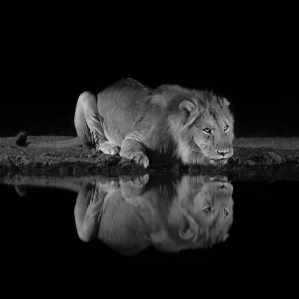 Источник: Marcello Galleano / Exposure One Awards 2025