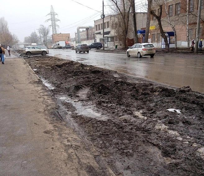 По Самаре множество газонов, изуродованных колёсами снегоуборочной техники, особенно вдоль автомобильных дорог  | Источник: Анатолий Дмитриевич / Vk.com 