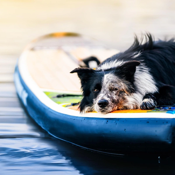 Источник: Shutterstock/Fotodom.ru