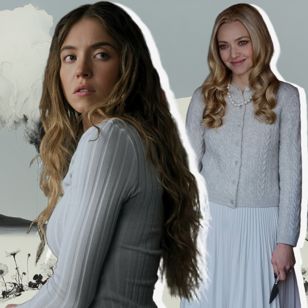 «Горничная-2025»: сюжет и все, что известно о триллере с Сидни Суини и Амандой Сайфред | Источник: theGirl