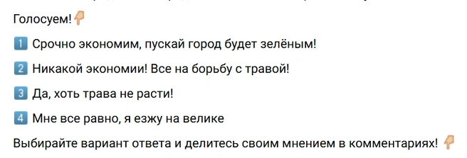 Источник: Денис Шевела / Vk.com
