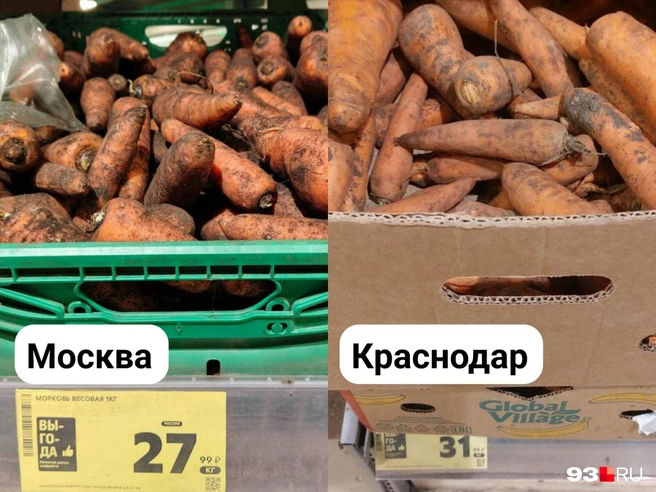 Килограмм моркови в Краснодаре дороже на 14%  | Источник: Екатерина Железнова / 93.RU