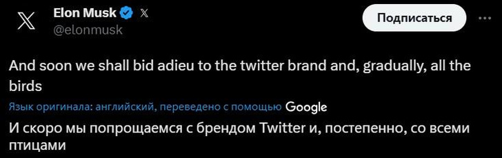 Реакция пользователей на внезапный ребрендинг «Твиттера»: вместо синей птички появился логотип X