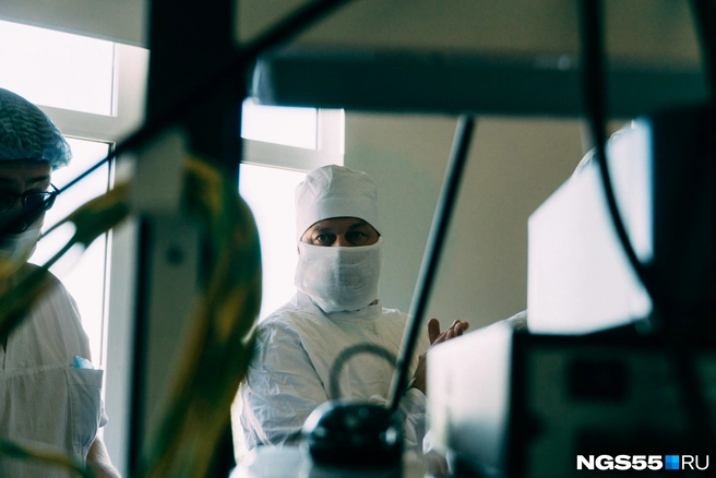 Весь год NGS55.RU писал о происходящем в региональном Минздраве | Источник: Елена Латыпова / NGS55.RU