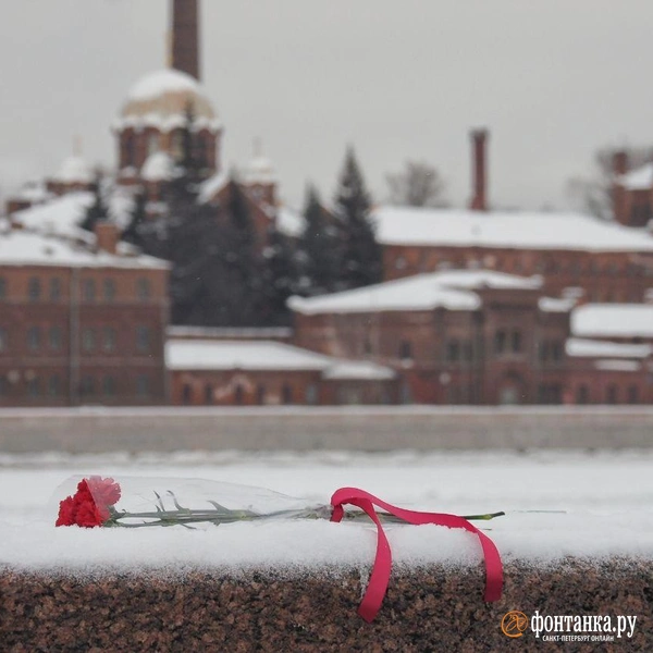 Источник: Михаил Огнев / «Фонтанка.ру»