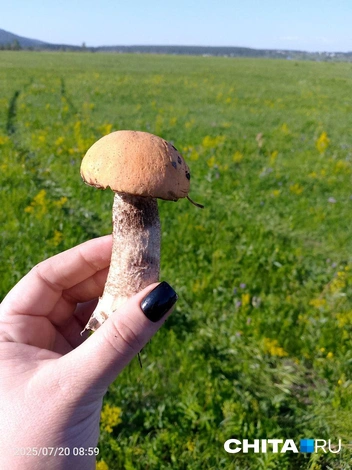 Источник: очевидец