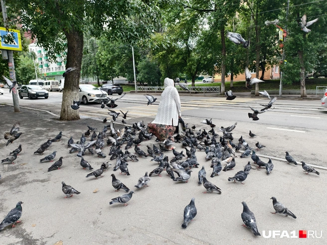 Королева голубей? | Источник: Булат Салихов / UFA1.RU