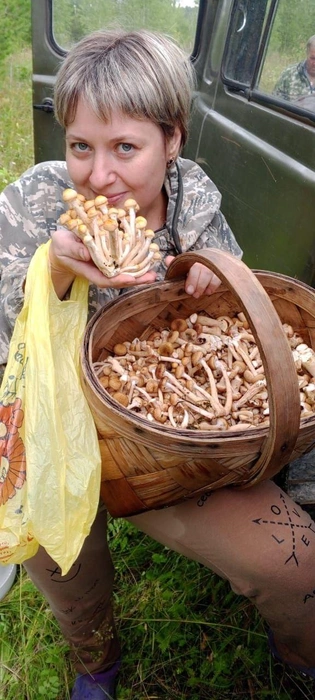 Собрали целое лукошко | Источник: читатель NGS24.RU 