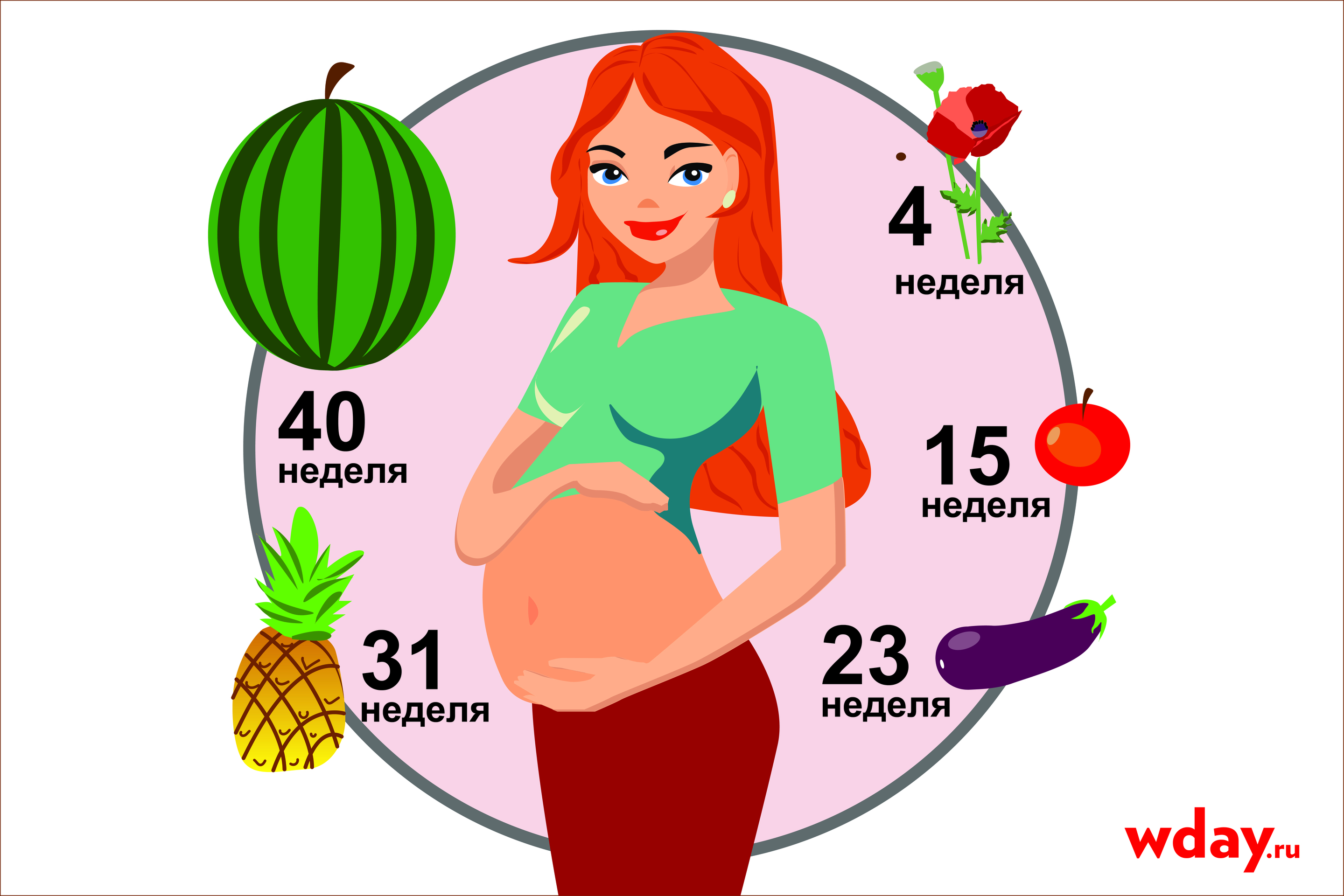 17 недель размер плода