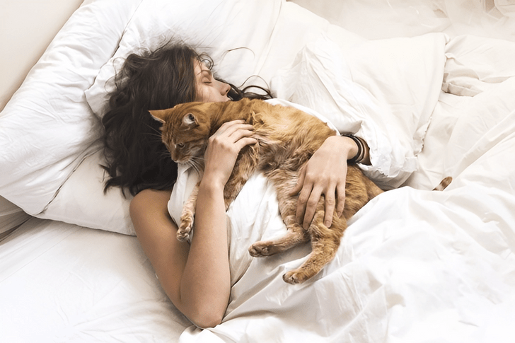 почему брать в постель кошку и собаку — плохая идея