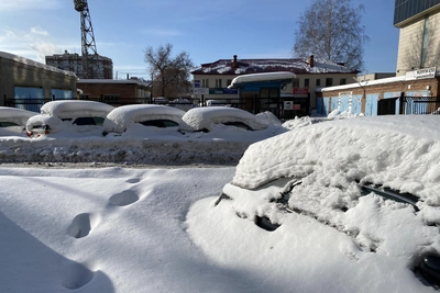 Машины-«подснежники» мешают уборке на Каменской
