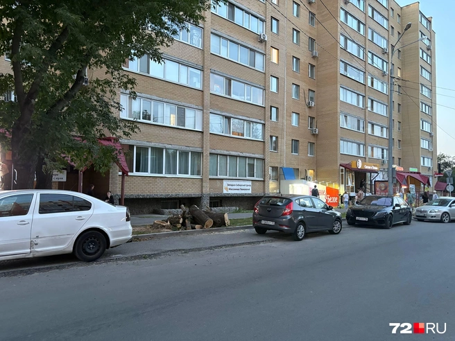 Источник: 72.RU