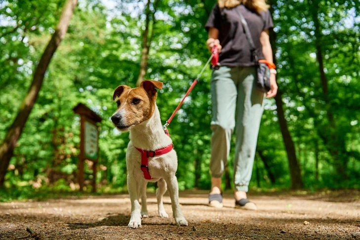 Источник: Shutterstock/Fotodom.ru