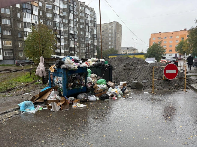 Улица Ушакова | Источник: Алина Бовшис