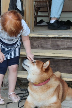 Полинка Бритвина, 5 лет, г. Москва