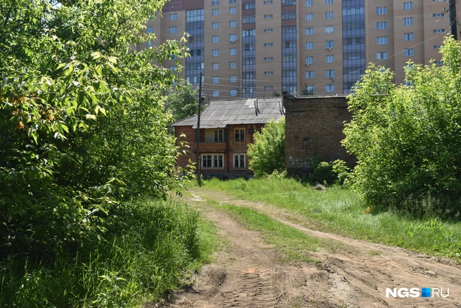 Бараки стоят вокруг большого пустыря, заросшего кустами и травой | Источник: Рихарда Лем / NGS.RU