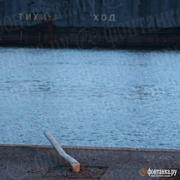 Источник: Валентин Егоршин / «Фонтанка.ру»