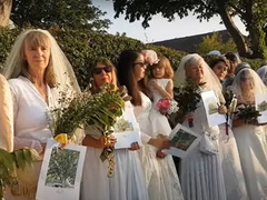 Когда муж — бревно: в Англии девушки массово выходят замуж за деревья