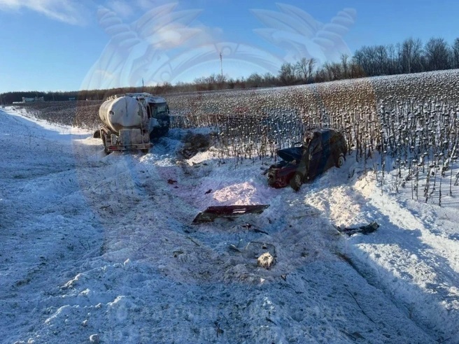 Источник: Госавтоинспекция Татарстана / T.me