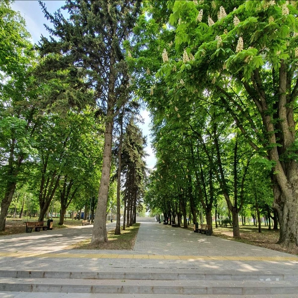 Источник: «Яндекс.Карты»