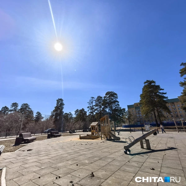 Источник: Дарья Кливенкова / CHITA.RU
