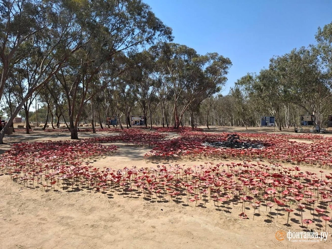 На поле, где 6 октября ставили палатки, сейчас — искусственные анемоны, цветы, ставшие символом памяти о погибших. | Источник: Ирина Багликова / «Фонтанка.ру»