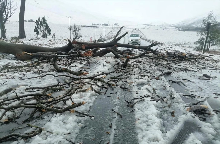 Снег покрыл главную трассу N2, ветер повалил деревья  | Источник: AP Photo / Hoseya Jubase