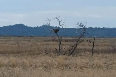 Заказники Приамурья готовятся к весенним пожарам