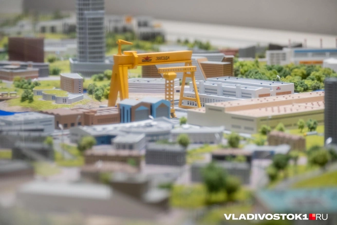 Источник: Елена Буйвол / VLADIVOSTOK1.RU