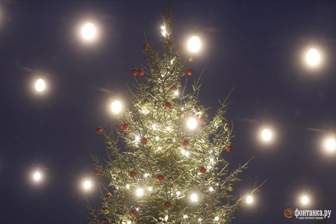 Некоторые новогодние развлечения могут обернуться штрафом | Источник: Сергей Михайличенко / Fontanka.ru