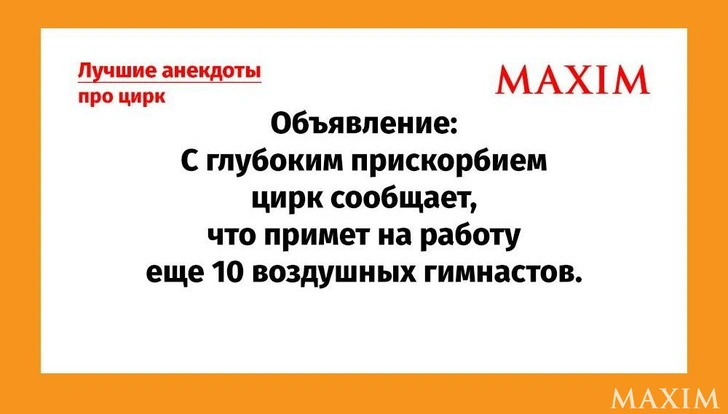 Лучшие анекдоты про цирк и клоунов, выпуск 2 | Источник: соцсети