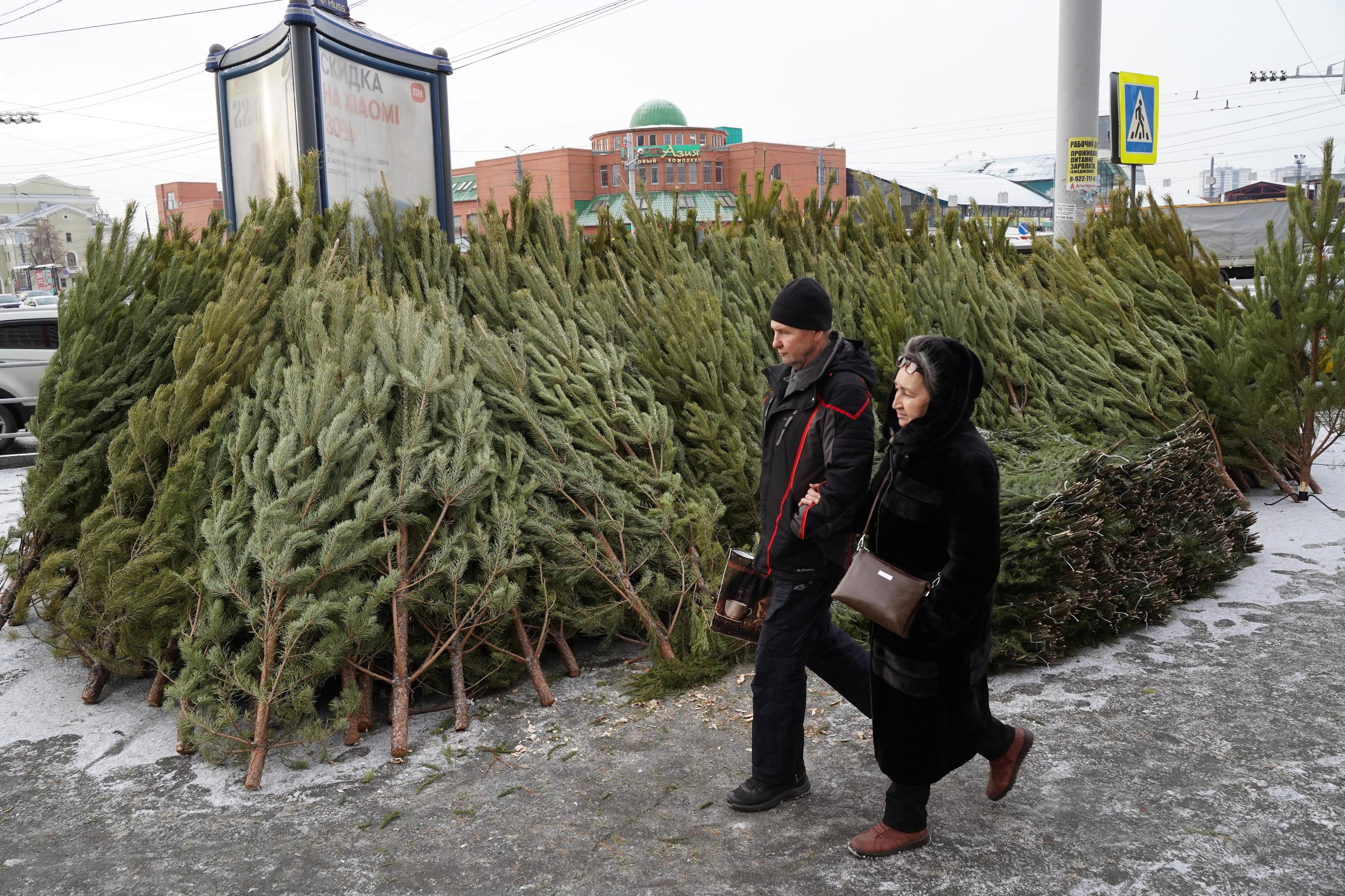 В Челябинске назвали адреса елочных базаров