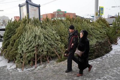 В Челябинске выбрали места для елочных базаров