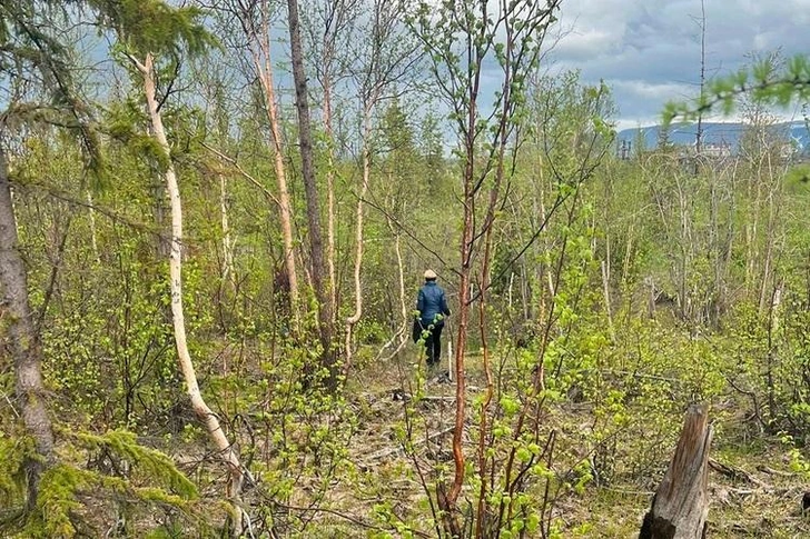 Женщина 20 лет скрывала убийство падчерицы, а мужу говорила, что дочь уехала к бабушке с цыганами