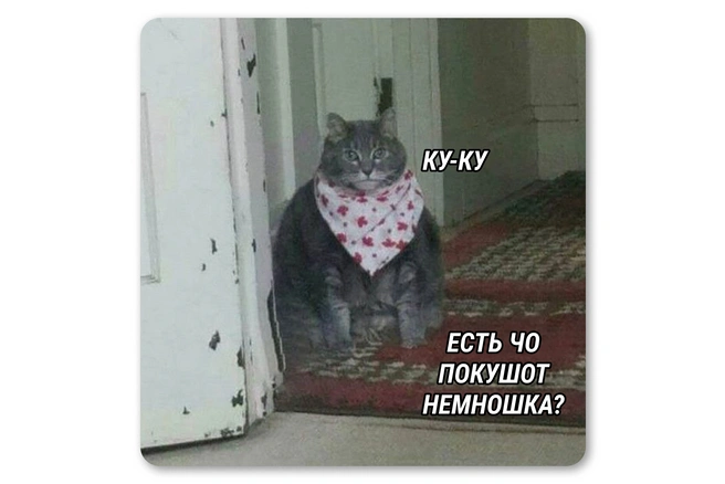 Подготовился к трапезе | Источник: Мария Романова / Городские медиа