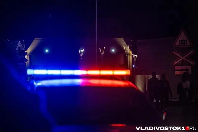 Владелец и не знал, что у него угнали автомобиль | Источник: Елена Буйвол / VLADIVOSTOK1.RU