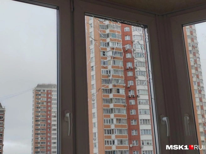 Источник: Михаил Мечев / MSK1.RU