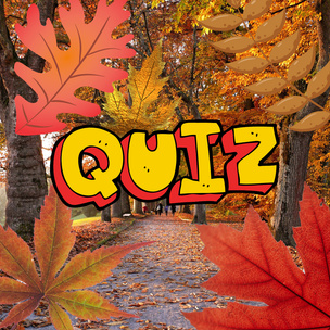 Quiz: Угадай дерево по его листочку 🍁