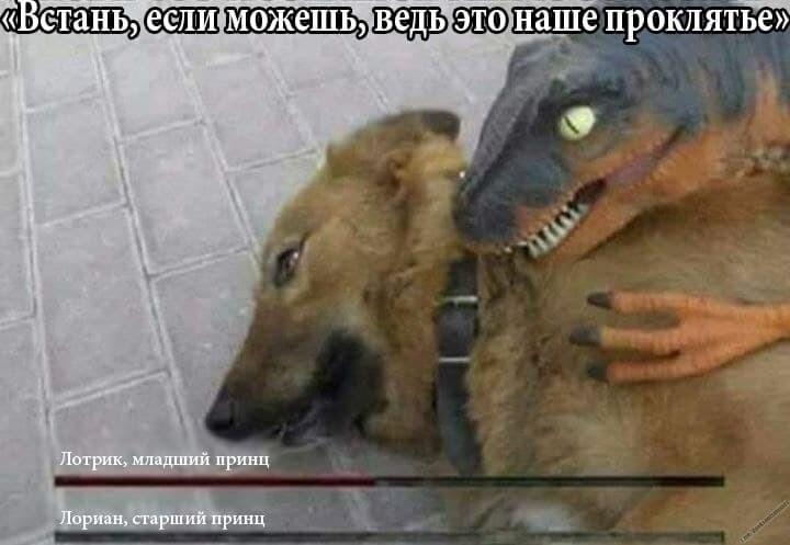 Источник: Соцсети