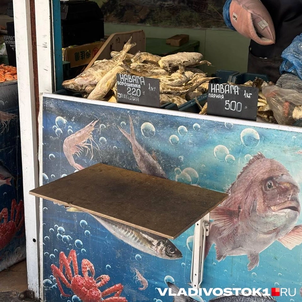 Источник: Елена Буйвол / VLADIVOSTOK1.RU