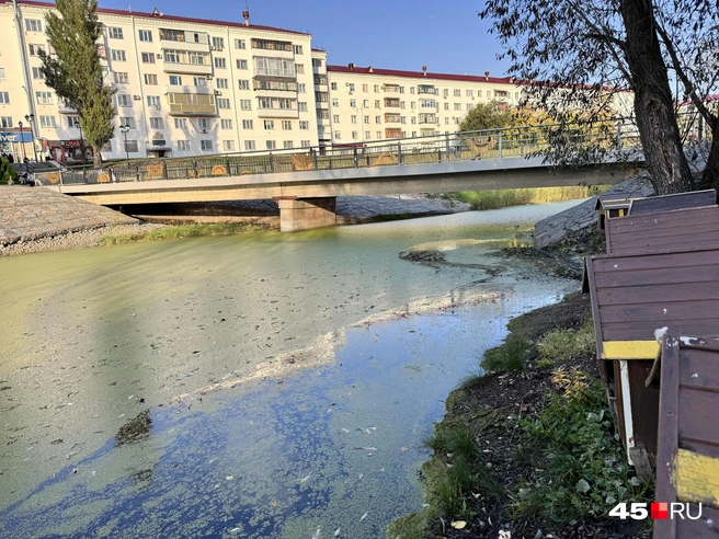 В воде и в домиках уток нет | Источник: Юлия Король / 45.RU
