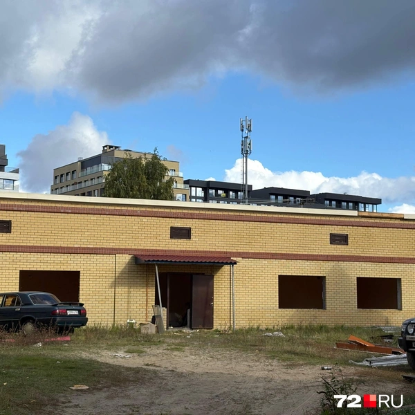 Источник: Мария Токмакова / 72.RU