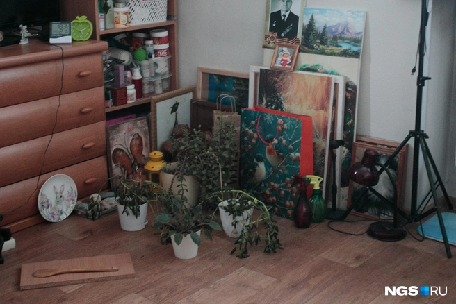 В попытках спасти растения их уносят подальше от окна | Источник: Андрей Бортко / NGS.RU