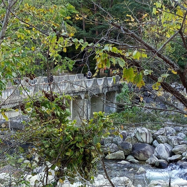 Источник: личный архив Ирины Чирковой