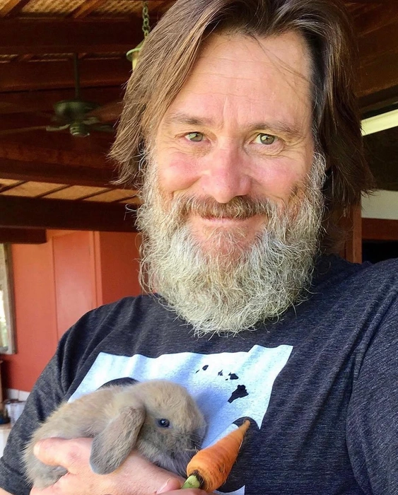 Источник: JimCarrey / x.com
